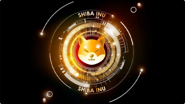 Токен Shiba Inu обходить біткоїн за переглядами